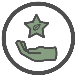 Experiencias Empresariales